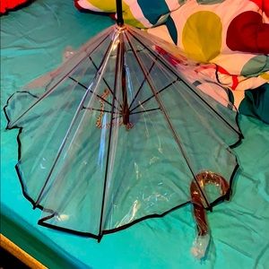 Doggie umbrella